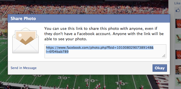 Anyone with the link will be able to see your photo.